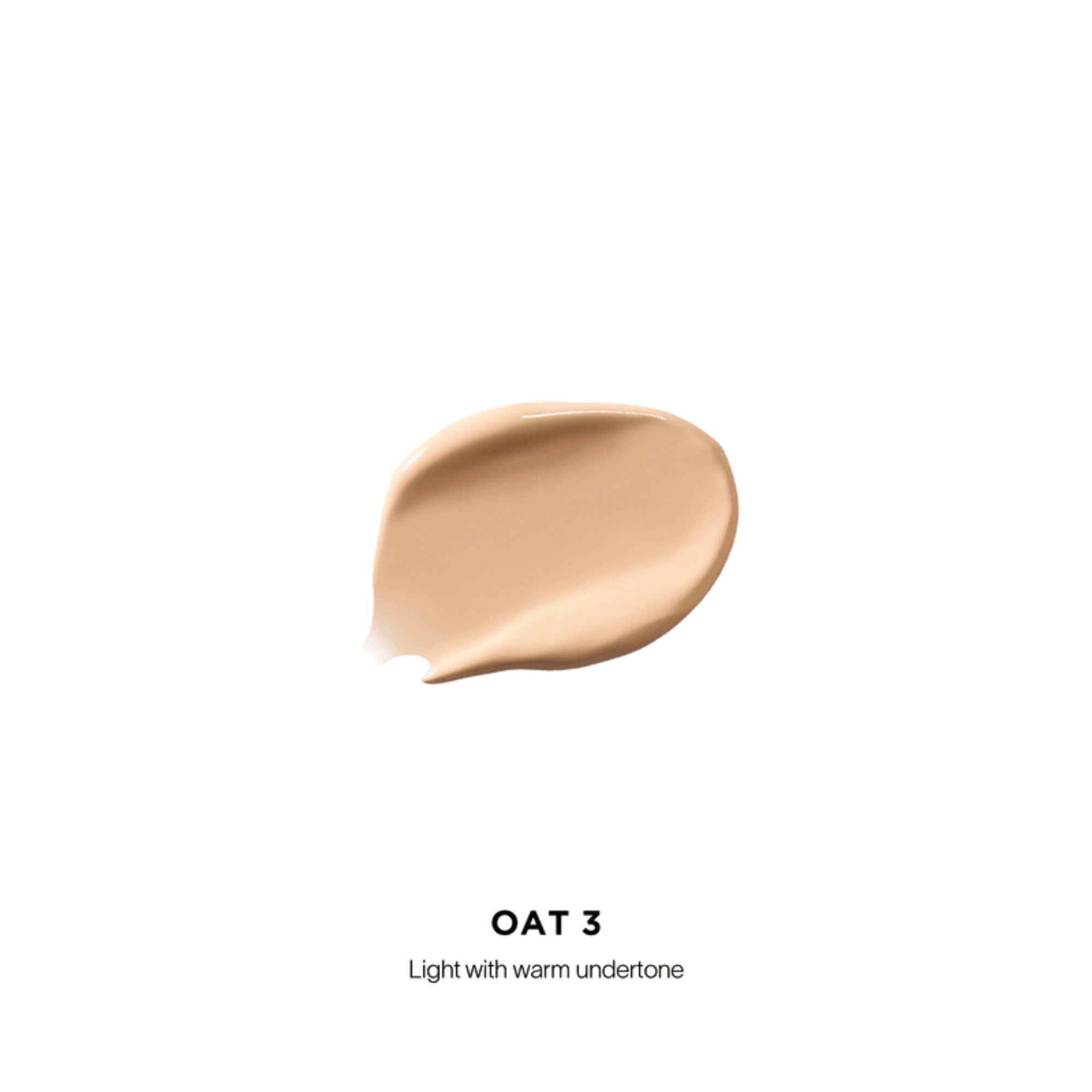 VANISH AIRBRUSH CONCEALER